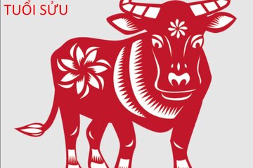 Tử vi tuổi Sửu 2025: Tiền bạc rủng rỉnh, đắc tài đắc lộc nhưng phải tự thân vận động