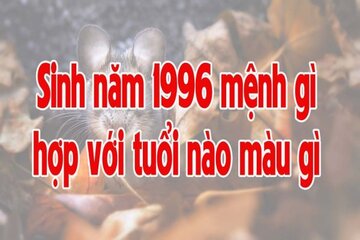 96 là tuổi gì, Luận về tuổi 96, Cuộc đời, Màu sắc phù hợp