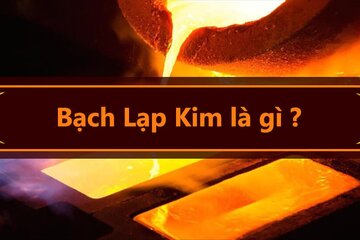 Giải thích Lạp Bạch Kim, Vận Mệnh, Cuộc Đời, Màu sắc phù hợp