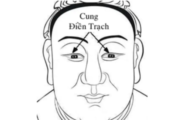 Cung Điền Trạch, Đặc Điểm và Ý Nghĩa của cung, Chính xác nhất