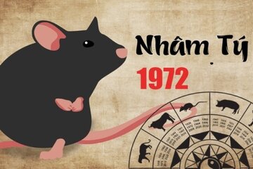 Sinh năm 1972 mệnh gì? Tuổi Nhâm Tý hợp màu gì nhất năm 2025?
