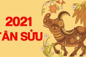 Tuổi Tân Sửu 2021 hợp với tuổi nào, màu gì, hướng nhà nào?