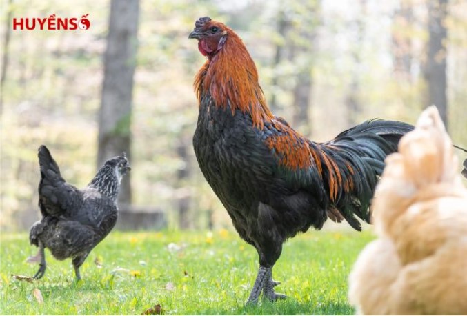 Tổng quan người sinh năm 2005